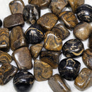 Stromatolite Tumbled Stone