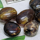 Amber Zebra Tumbled Stone