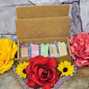 Cold Process Soap - Sampler Kit of 5