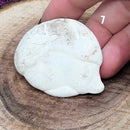 Pierres de fée - 1-1,5"