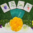 Deck Oracle de la Sorcière Verte