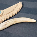 Athame - Corne de cerf avec manche en acier Damas 8,5" de long