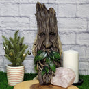 Greenman Tree Spirit Plaque