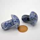 Sodalite Mushroom Massager 2" (Sold Individually)