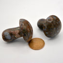 Glaucophane Mushroom Massager 2" (Sold Individually)