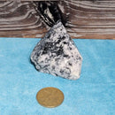 Quartz avec pointe polie en tourmaline noire (hauteur de 2" à 3")