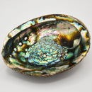 Smoke Cleansing Abalone Shell 4" to 6.5"-Scents/Oils/Herbs-Kheops-The Bat Witch Cavern