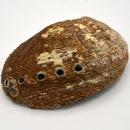 Smoke Cleansing Abalone Shell 4" to 6.5"-Scents/Oils/Herbs-Kheops-The Bat Witch Cavern