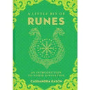 Book - Little Bit of Runes - An Introduction to Norse Divination