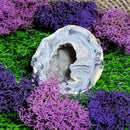 Small Agate Geode Specimens (All Variations)