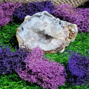 Small Agate Geode Specimens (All Variations)