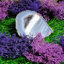 Small Agate Geode Specimens (All Variations)