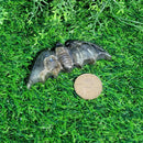 Labradorite Carved Bat