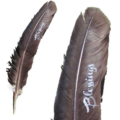 Smoke Cleansing Feather - Turkey Blessings Approx. 9" to 12"-Scents/Oils/Herbs-Nature's Expression-The Bat Witch Cavern