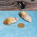 Points - Citrine - Rough (Extra Quality)