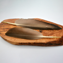 Mallard Duck Feathers