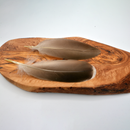 Mallard Duck Feathers