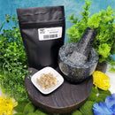 Herbe – Racine de gravier – 1 oz