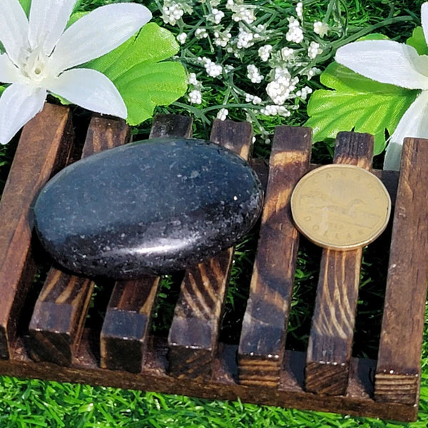 Palm Stone - Nuummite