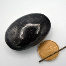 Palm Stone - Nummite-Crystal/Stones-Nature's Expression-The Bat Witch Cavern