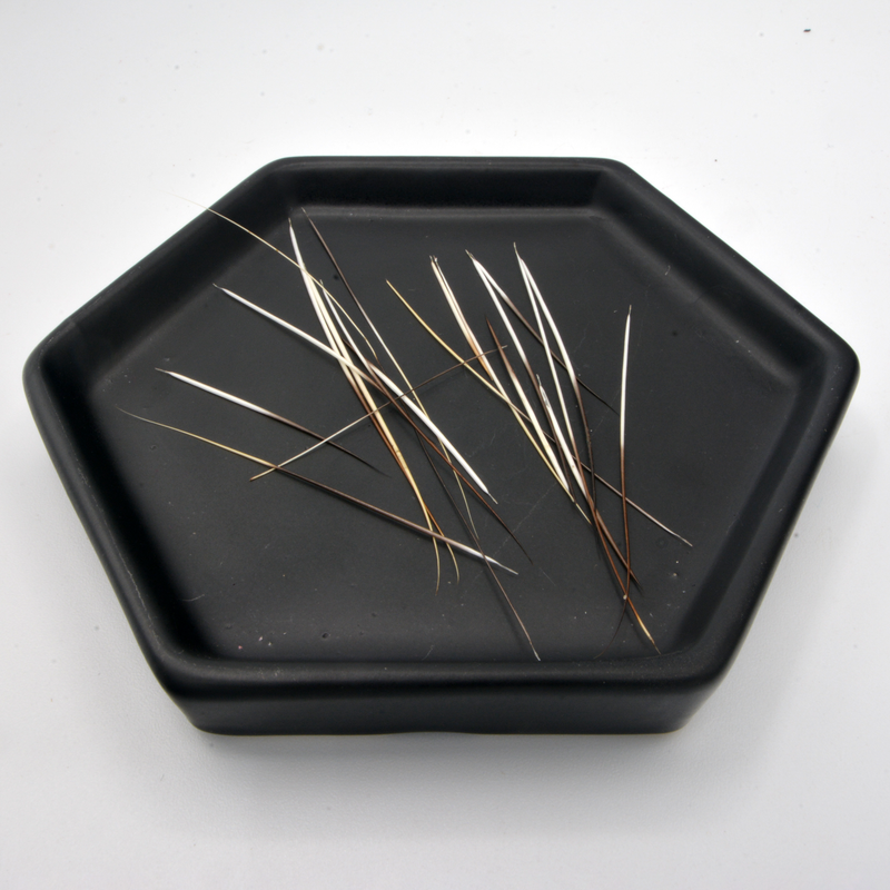 North American Porcupine Quills 20PK (Various Sizes)