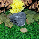 Rough Nugget - Nuummite
