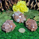 Aragonite Sputnik Cluster
