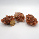 Aragonite Sputnik Cluster-Crystal/Stones-Stone Bridge Imports-100grams to 150grams-The Bat Witch Cavern