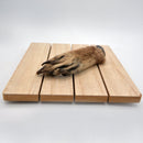 Canadian Raccoon Foot (Preserved)