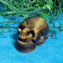 Crâne Oeil de Tigre 1.25"