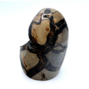Druze - Septarian Jasper - Specimen 1 - 390grams-Rock Tumbling-Azure Green-The Bat Witch Cavern