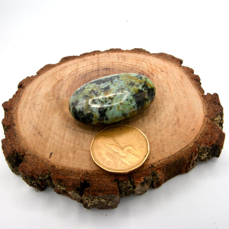 Palm Stone - African Turquoise 1.5"-2" (Small)-Crystal/Stones-Nature's Expression-The Bat Witch Cavern