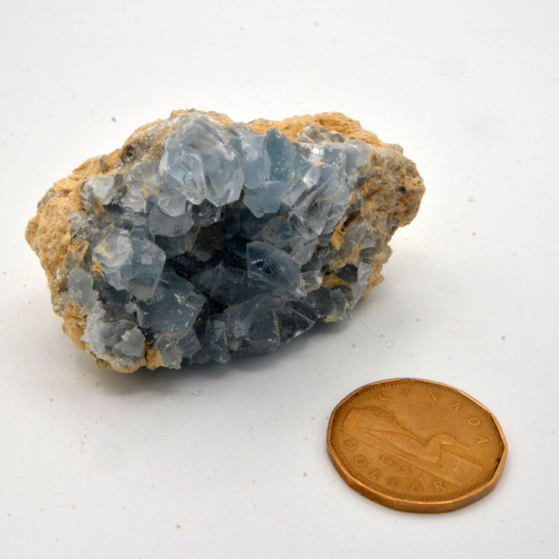 Celestite Clusters - Variants of Each-Rock Tumbling-Kheops-Variant 16 - 180grams-The Bat Witch Cavern