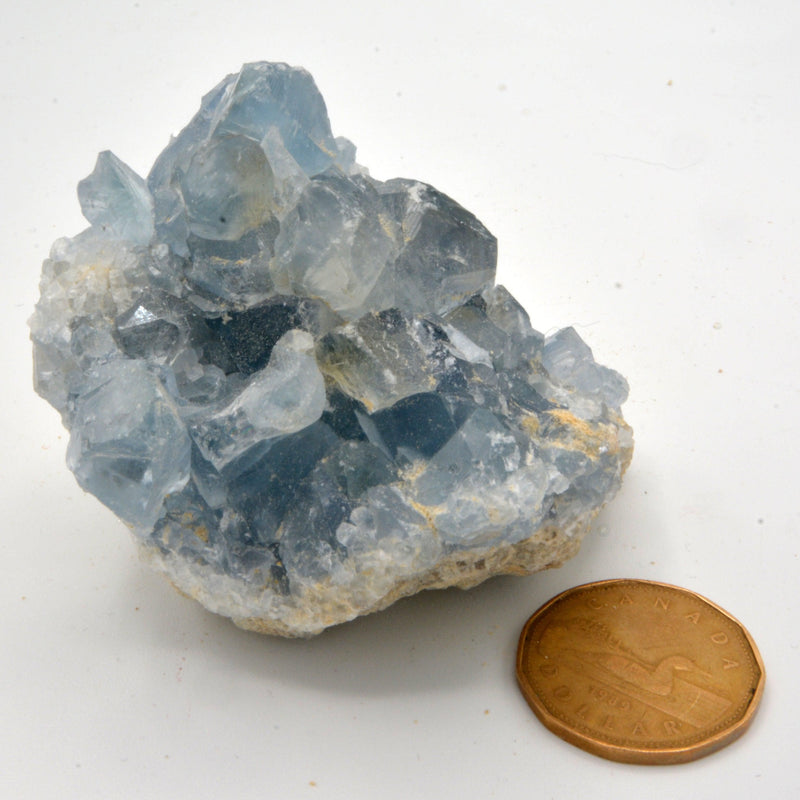 Celestite Clusters - Variants of Each-Rock Tumbling-Kheops-Variant 21 - 313grams-The Bat Witch Cavern