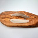 Mallard Duck Feathers