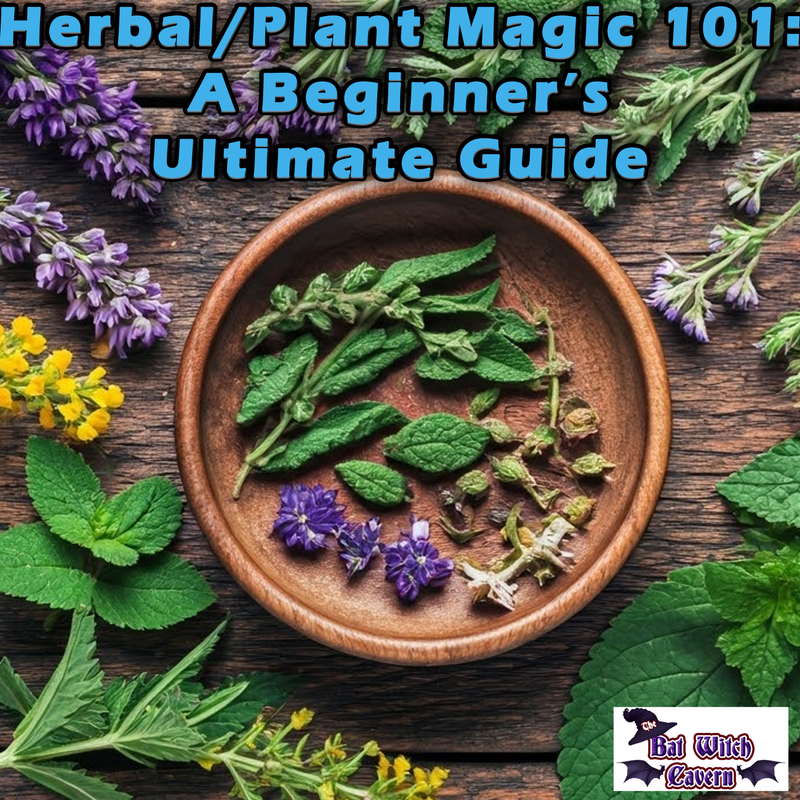 Herbal/Plant Magic 101: A Beginner's Ultimate Guide