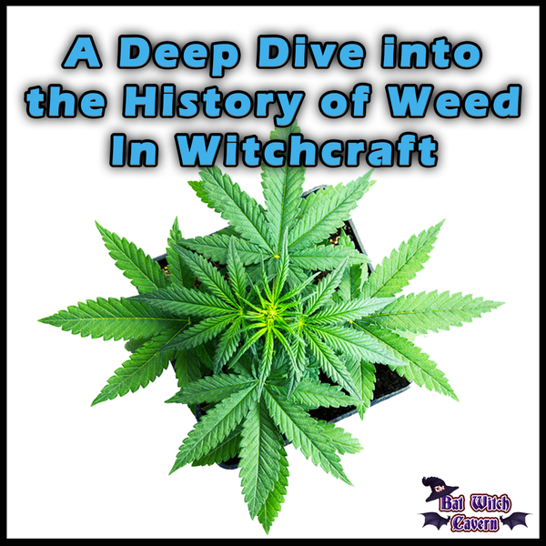 The Enigmatic Past: A Deep Dive into the History of Weed in Witchcraft