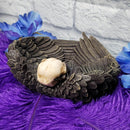 Raven Skull Dish