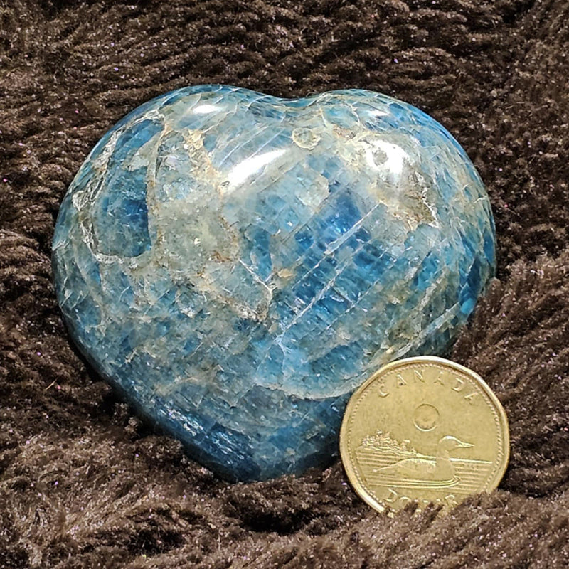 Puffy Heart Gemstone 2-3" - Blue Apatite