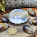 Palm Stone - Orca Agate - 2.5" x 3"