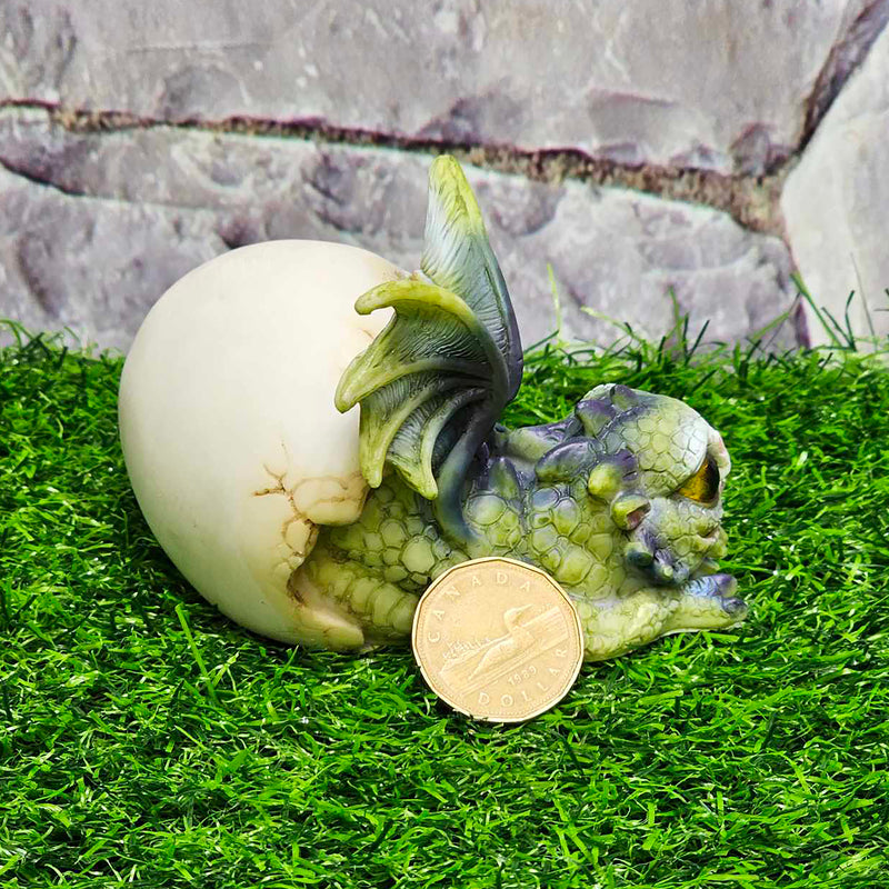 Figurine bébé dragon - nouveau-né - 4" x 3" de haut