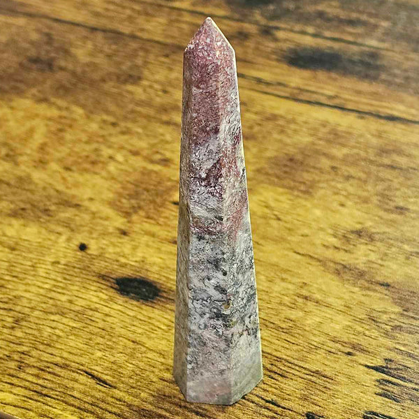 Petrified Wood Polished Obelisk (3" to 4" Height)