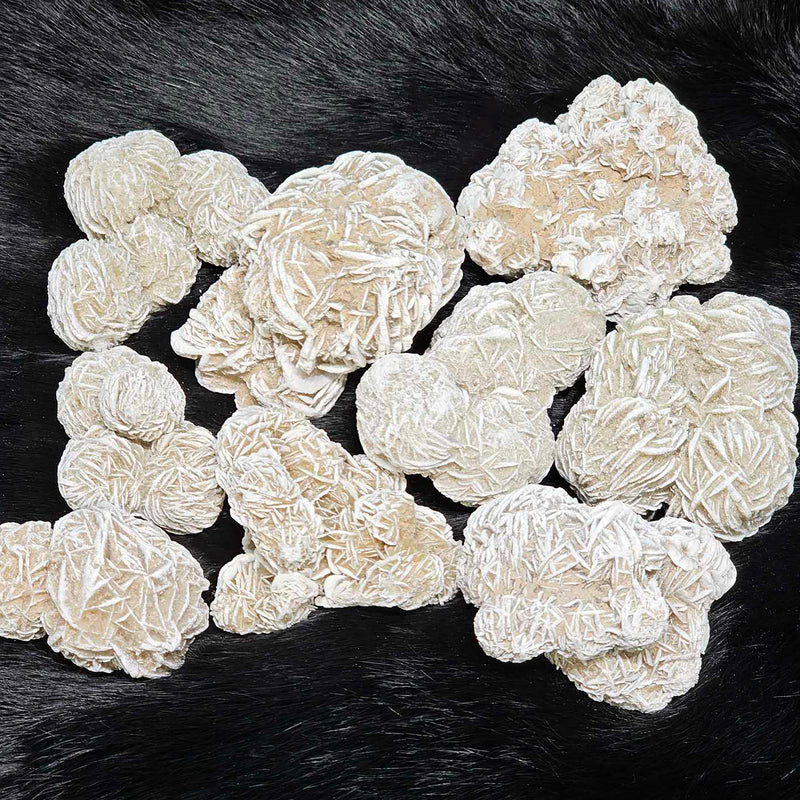 Desert Rose Cluster