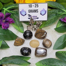 Pierre roulée stromatolite