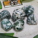 Pierre roulée agate arbre