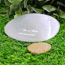 Pierre de palmier sélénite - 3"