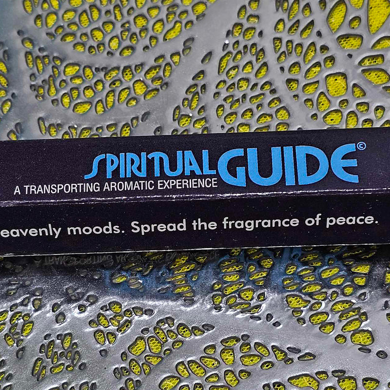 Bâtons d'encens guide spirituel HEM (20 grammes)