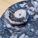 Fossil Ammonite Dish Round/Oval (3.5"- 5")