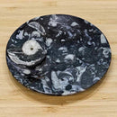 Fossil Ammonite Dish Round/Oval (3.5"- 5")