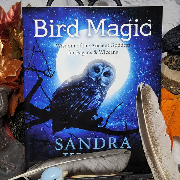Livre - Magie des oiseaux - Sagesse de l'ancienne déesse pour les païens et les wiccans